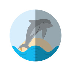 dolphin ocean fish friendly badge shadow vector illustration eps 10