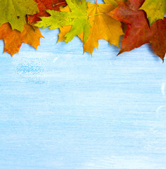 Moody autumn background with green, red and yellow falling leaves.