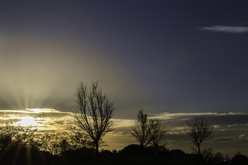 Sunset in the park of my city