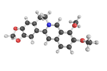 Berberine, a quaternary ammonium salt from the protoberberine gr
