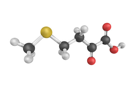 Alpha-ketomethionine, a derivative of alpha-Ketoglutaric acid wh