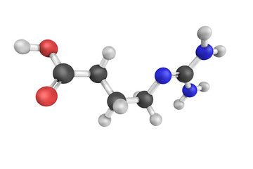Gamma-Guanidinobutyric acid, also known as 4-Guanidinobutanoate,