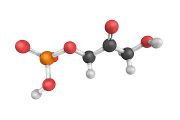 Dihydroxyacetone phosphate (DHAP), a biochemical compound involv