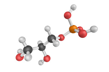 Glycerophosphoric Acid, also known as 3-Phosphoglyceric acid, a