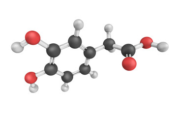 Homoprotocatechuic acid, an isomer of homogentisic acid found in