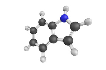 Indole regulates various aspects of bacterial physiology, includ