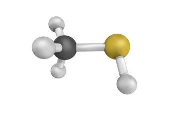 Methanethiol, one of the main compounds responsible for bad brea