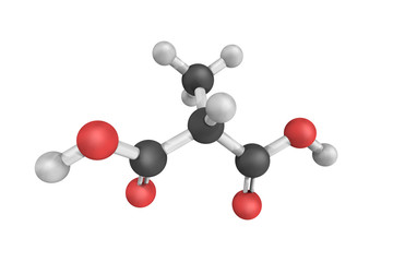 Methylmalonic acid is a dicarboxylic acid that is a C-methylated