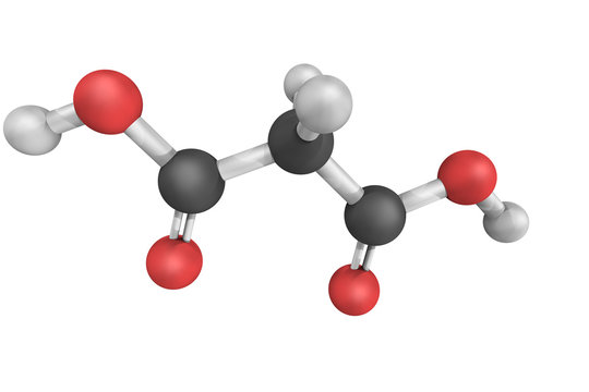 Malonic acid, 3d model. The ionized form of malonic acid, as wel