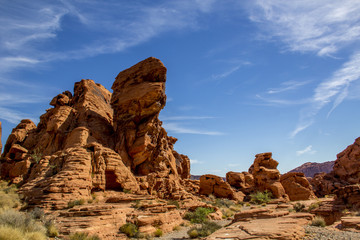 Fototapeta premium Valley of Fire State Park - Turtle