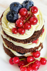 Homemade cake with berries
