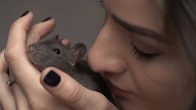 Beautiful lovely girl holds a hand a small home little pet brown mouse close up. She pats her kisses. smiles.
