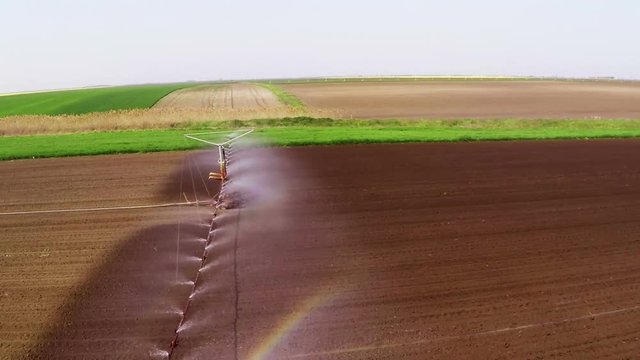 Typhon irrigation of young paprika field in spring. Aerial footage.