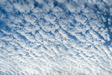 backgorund of sky