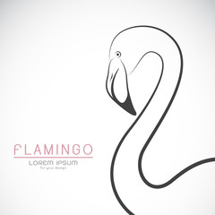 Vector of a flamingo design on white background, Wild Animals.