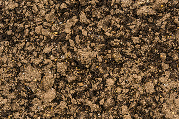 土壌のテクスチャ