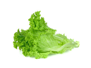 fresh lettuce leaves isolated on white  background