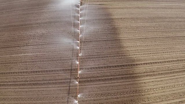 Typhon irrigation of young paprika field in spring. Aerial footage.