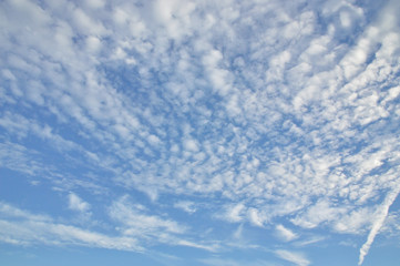 雲