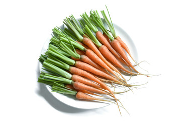Raw carrot with green leaves on white plate