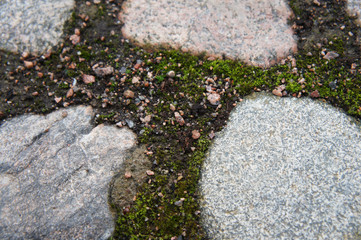 Granit rocks with soil abstract background