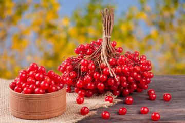 ripe red viburnum berries in a wooden bowl on table with blurred garden background