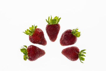 five strawberries arranged in semicircle on white background