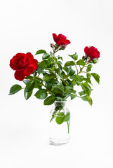 three red roses in glass bottle isolated on white background