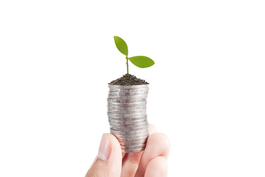 Business man holding plant sprouting from a handful of coins