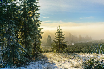 Silverton Oregon