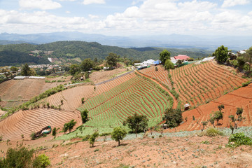 Thai Village in the mountains - 133361759