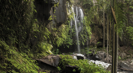 Curtis Falls Waterfall in Mount Tambourine
