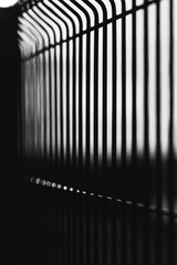 Fence