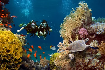 Tuinposter The loving couple dives among corals and fishes in the ocean © pirotehnik