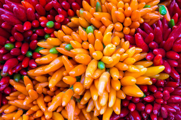 Red hot chilly pepers closeup background
