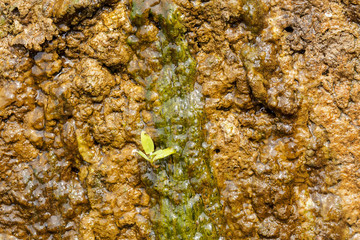 rocks under water