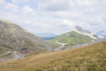 Fototapeta na wymiar Beautiful natural landscape in the summer time