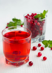 Fresh juicy cranberry and mint juice, close-up