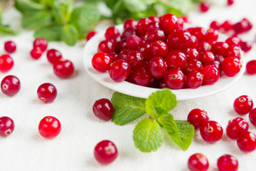 Fresh juicy cranberry and mint juice, close-up