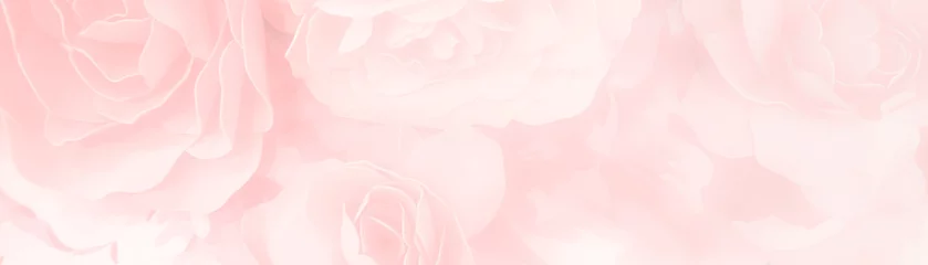Fototapete Hell-pink süße Farbrosen blühen in Pastelltönen mit unscharfem Stil für Hintergrundmustertextur