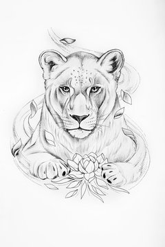 Free Free 95 Lion And Lioness Svg SVG PNG EPS DXF File