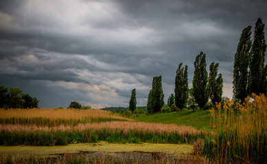 Болотистый луг и майская гроза © Maryna Konoplytska