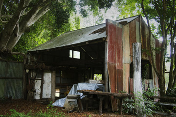 Boomerang Farm