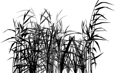 group of reed black and grey silhouettes on white - obrazy, fototapety, plakaty