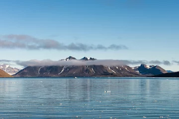 Gordijnen Arctisch landschap in Svalbard, Spitsbergen © Alexey Seafarer