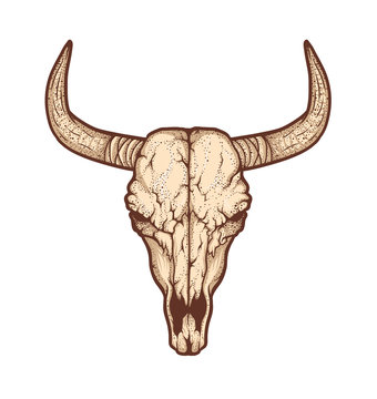 Bull skull native Americans tribal style. Tattoo blackwork. Vector illustration