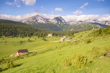 national park Durmitor in Montenegro, mountain meadow