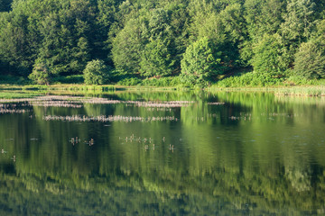 Fototapeta na wymiar Beautiful lake.