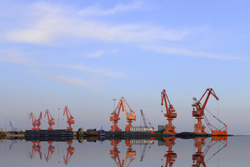 Many of the crane in work, in the cargo terminal
