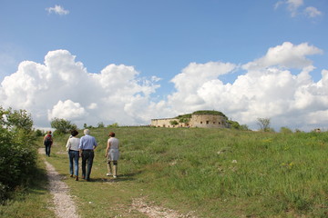 A passeggio in collina